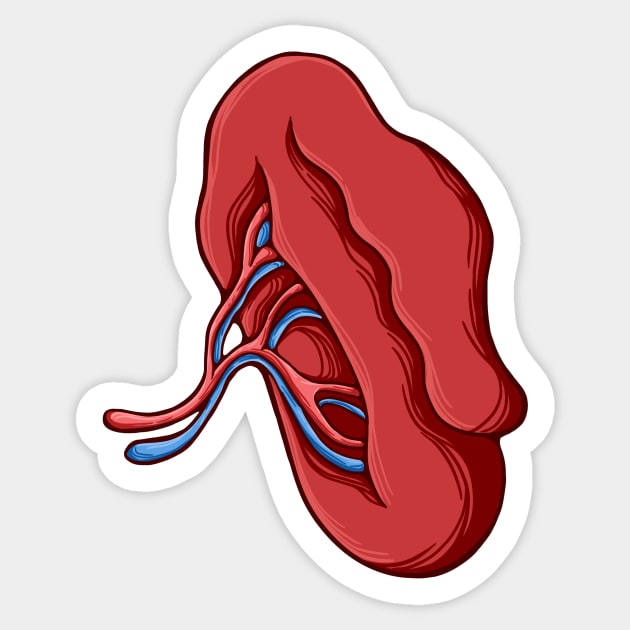 The spleen Sticker by rikiumart21